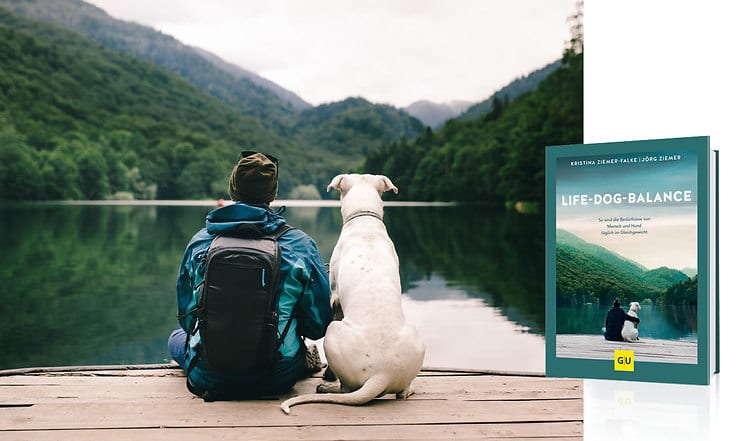 Hunde sind auch nur Menschen – so gelingt eine gute Life-Dog-Balance