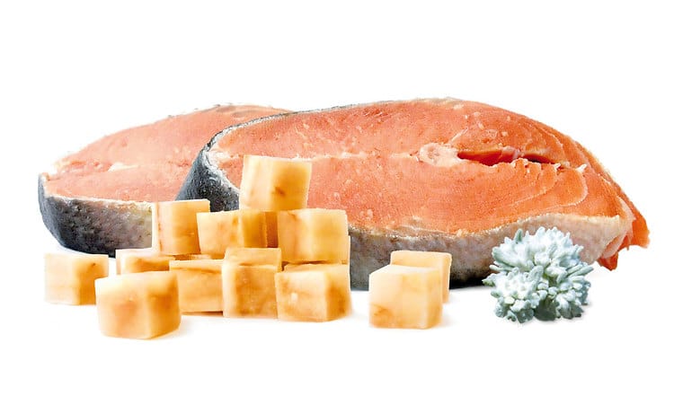 BARF Rezept mit Lachs mit Katzengamander und Taurin