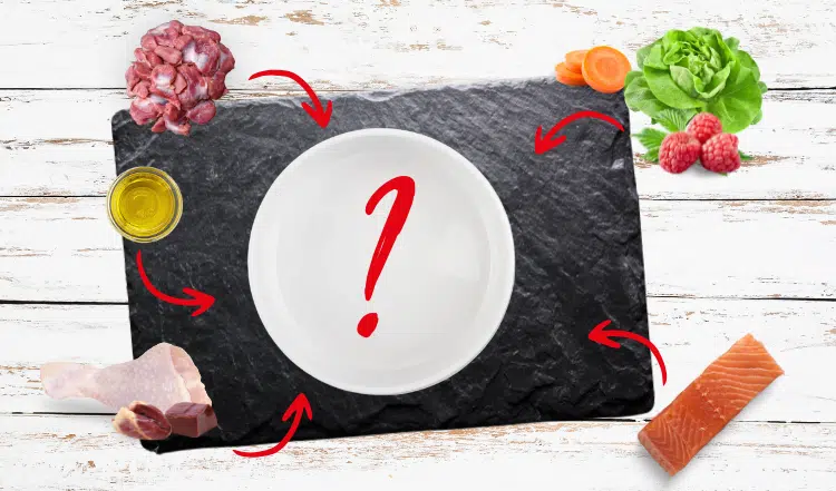 Fehler beim Katzenfutter: Risiken einer falschen Futterzusammensetzung