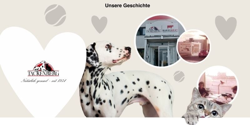 Unsere Geschichte – TACKENBERG