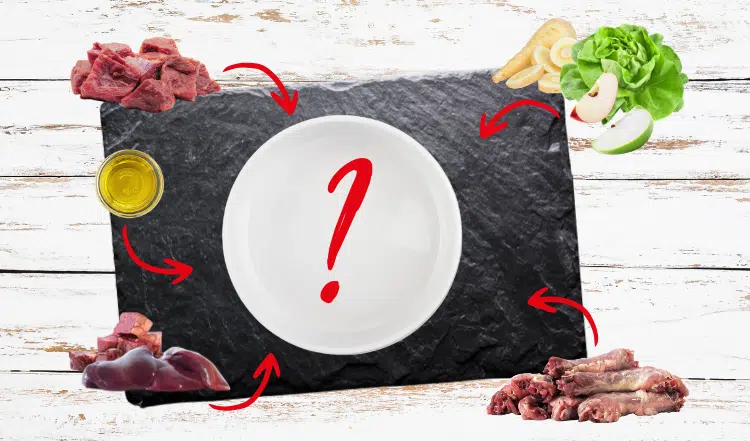 Falsche Futterzusammensetzung bei Hundefutter: Risiken für Gesundheit und Wohlbefinden