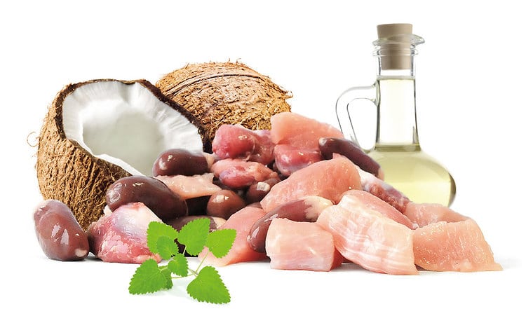 BARF Rezept mit Kaninchenragout mit Katzenminze und Kokosöl