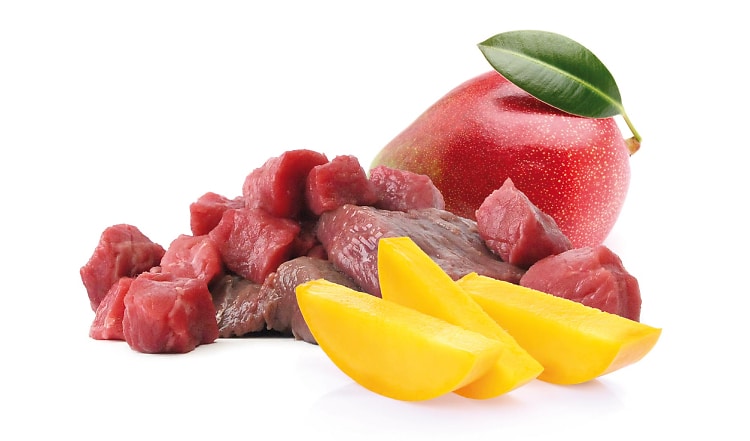 BARF Rezept mit fruchtig-herzhaftem Mango-Wild