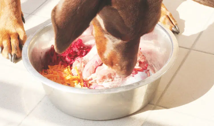 Der Mythos, dass BARF nicht bedarfsdeckend sei: Fakten und Hintergründe