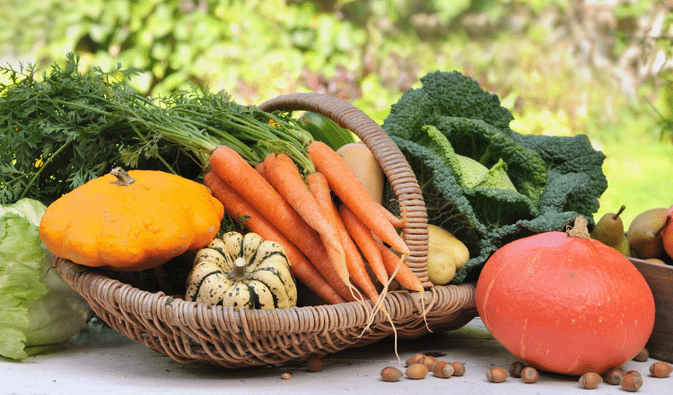 Saisonales Obst und Gemüse für Hunde im Herbst