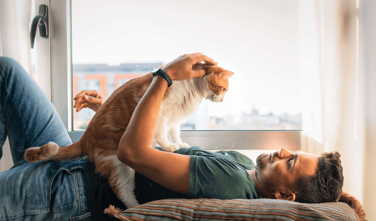 Deine Katze hat eine Erkältung: Was kannst Du tun?