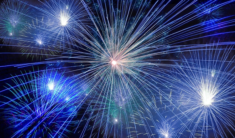 Katzen an Silvester – so ersparst Du Deiner Samtpfote den Silvesterstress!