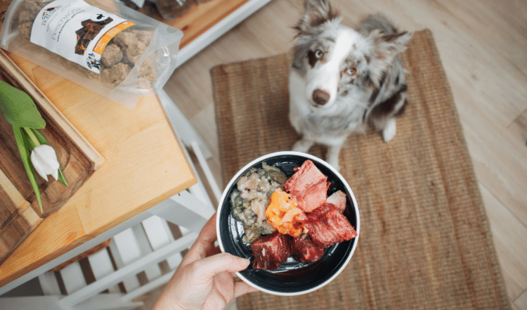 Napf-Inspirationen im Frühling