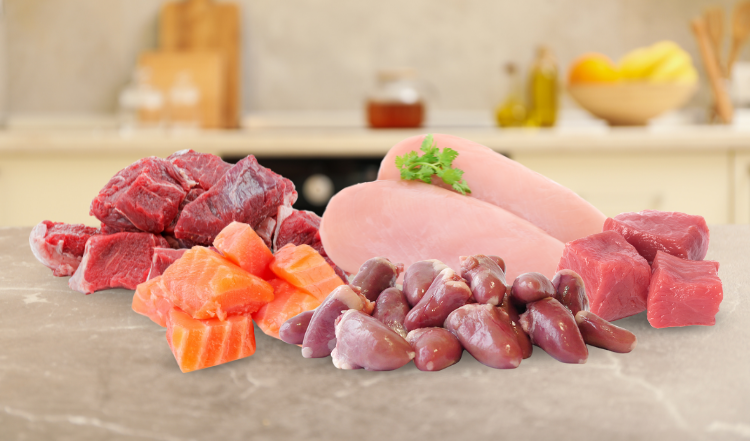 Experteninterview mit Dr. Jutta Ziegler – Für wen ist welches Fleisch geeignet?