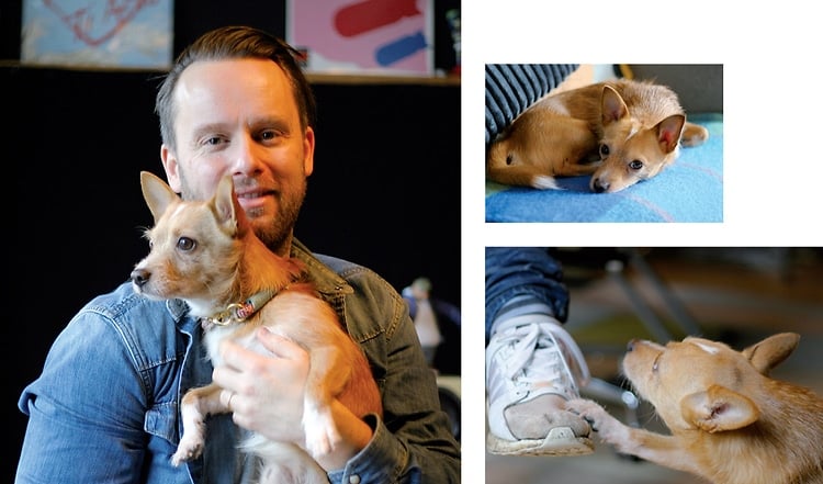 Zu Besuch bei REVOLVERHELD