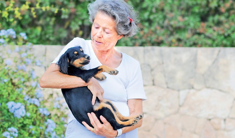 TINI e.V. – Tiere in Not Ibiza