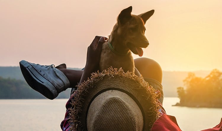 Mit dem Hund auf Camping-Tour durch Deutschland