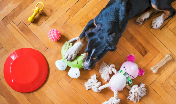 Aufräumen beibringen