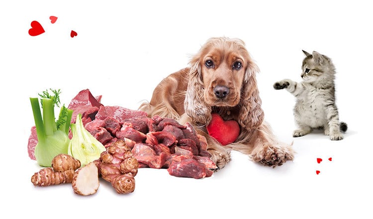 Happy Valentine: Ein BARF Menü zum Verlieben!