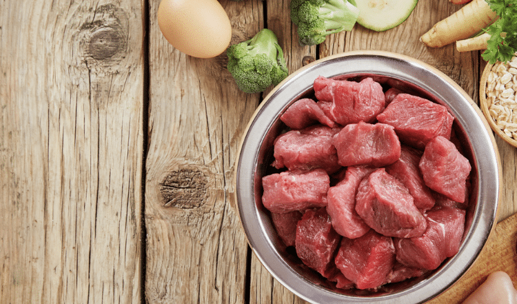 Barfen – 10 hartnäckige BARF-Mythen