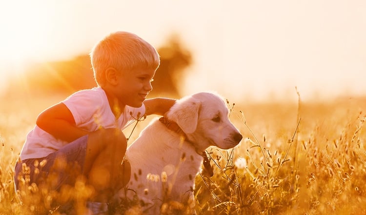 "Mama, ich möchte so gern einen Hund!"