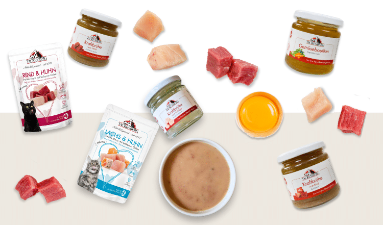 Selbstgemachter Katzendrink