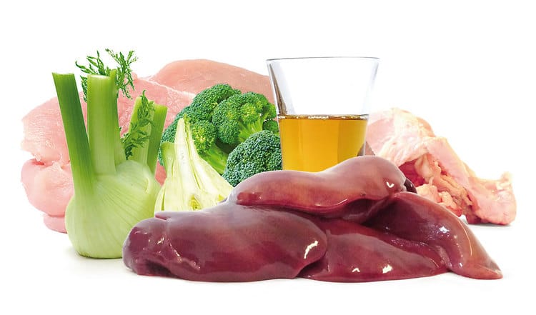 BARF Rezept: Das Beste von der Pute mit Fenchel, Brokkoli und Leinöl