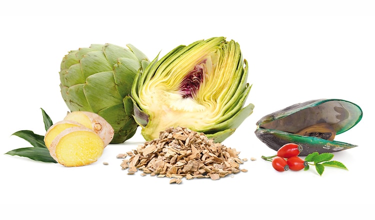 Nahrungsergänzungen – wann sind sie sinnvoll?