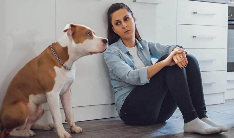 Beziehungsprobleme von Mensch und Hund