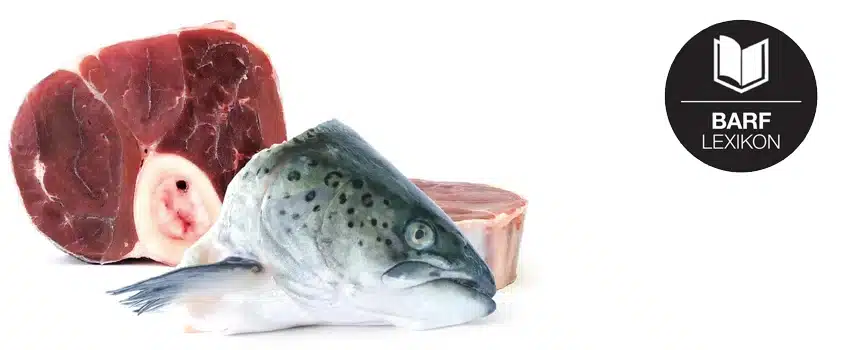Knochen & Knorpel Innereien im BARF Lexikon – der natürliche Kauspaß