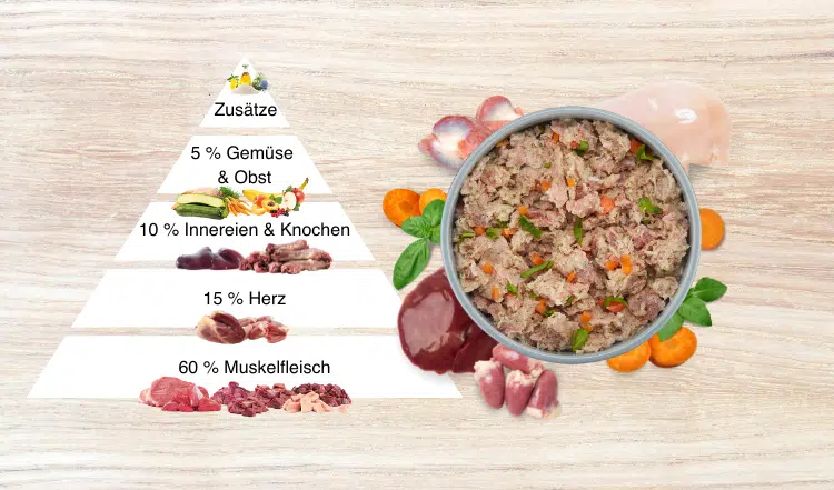 Die BARF Futterpyramide für Katzen