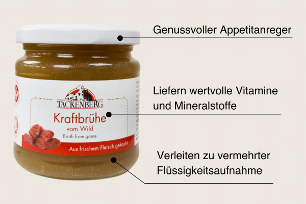 Br&uuml;he f&uuml;r Hunde und ihre Vorteile.