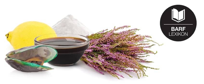 Nahrungsergänzungen im BARF Lexikon – sinnvolle Extras