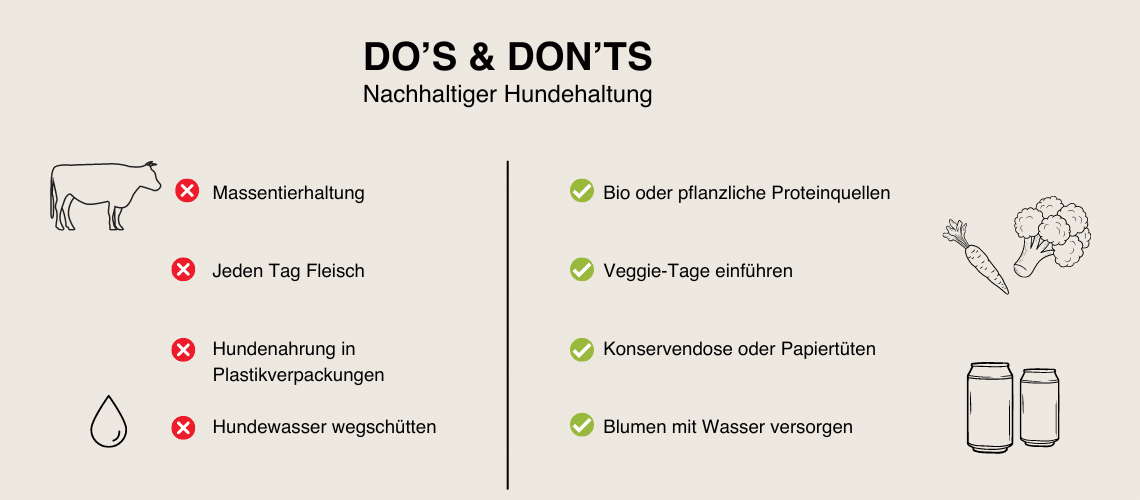 Do's & Don'ts der nachhaltigen Hundeern&auml;hrung