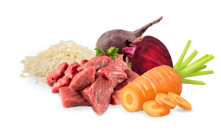 BARF Rezept: Gesund ins neue Jahr