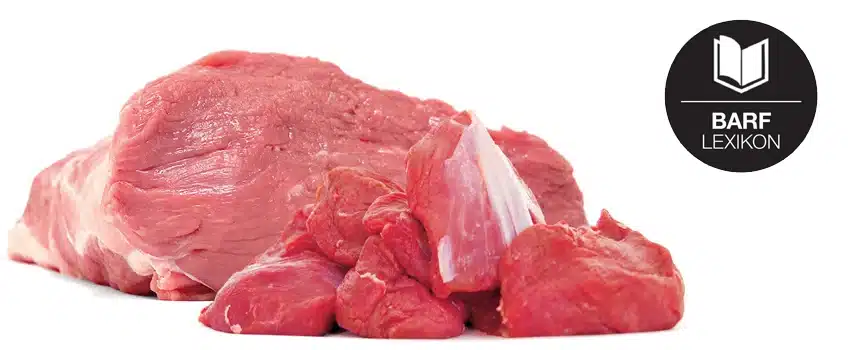 Rohfleisch im BARF Lexikon – das Herz eines jeden Barfers