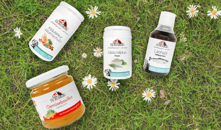 Immunbooster für kühle Frühlingstage