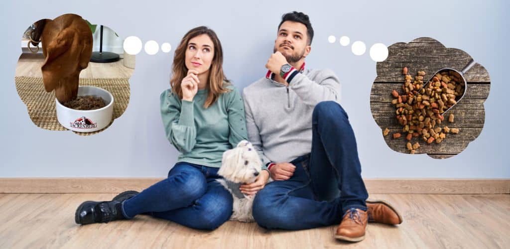 Hundebesitzer fragen sich, ob sie Nass- und Trockenfutter mischen d&uuml;rfen.